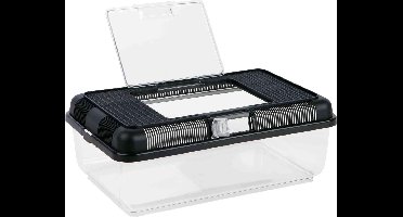 Transport- en voederbox XL halfhoog 38 × 14 × 24 cm