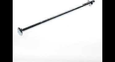 slotbout gegalvaniseerd M10 x 260 (25st.)