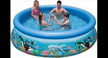 Intex Easy Set 28136GS Ocean Reef Zwembad 366x76cm + Pomp