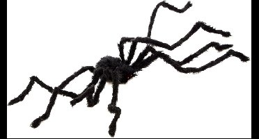 Vegaoo - Grote behaarde halloween spin