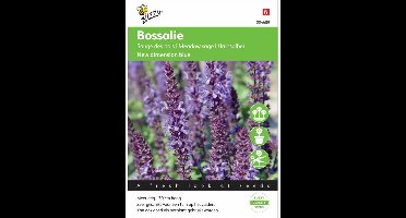 Buzzy® Salvia nemorosa New Dimension Blue