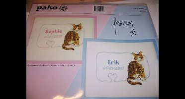 Borduurpakket Geboortetegel: Erik/Sophie poes
