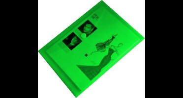 150x EXXO-HFP #90136 - A4 Documentenmap - Landschap model - Klitsluiting - Groen - 15 pak @ 10 stuks