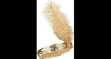 Vegaoo - Goudkleurige charleston hoofdband voor vrouwen