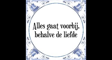 Tegeltje met Spreuk (Tegeltjeswijsheid): Alles gaat voorbij, behalve de liefde + Kado verpakking & Plakhanger