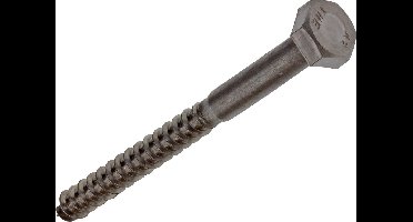 Houtdraadbout RVS 10x120 mm inox