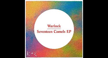 Seventeen Camels