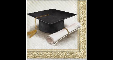 Servetten Classic Graduation (25cm,16st)