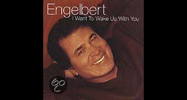 I Want To Wake Up With You