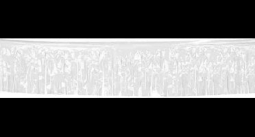 Slinger met witte franjes 10 meter - Feestdecoratievoorwerp
