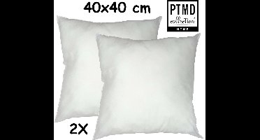 PTMD - Vulkussen -Binnenkussen - Voor sierkussens - Rijkelijk gevuld met hollow Fill - 40 x 40 cm - 2 stuks