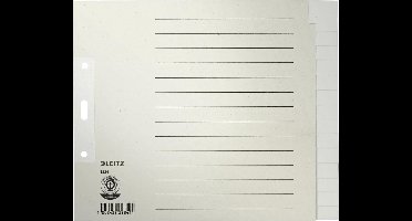 Leitz 1224 Register Din A4 Bovenbreedte Blanco Manila Papier Grijs 15 Tabbladen 12240085