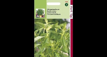 2 stuks - Hortitops - Basilicum Citroensmaak Lemon Basil Kemangi
