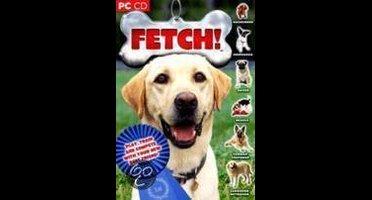 Fetch - Windows