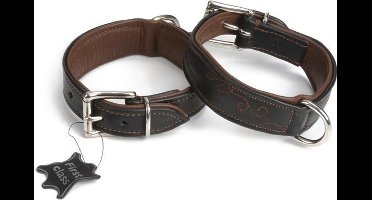 Swirl - Hondenhalsband -  Zwart - 28-34 cm x 35 mm