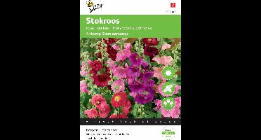 Buzzy® Althaea Antwerp Stars mix