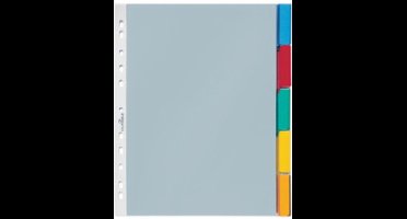 6630 - Blank tab index - Transparent - 250 mm - 302 mm
