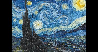 Vincent van Gogh Starry Night poster - De Sterrennacht - kunst - 42 x 60 cm