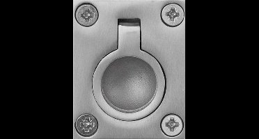 Inter Luikring RVS mat 48 x 38mm