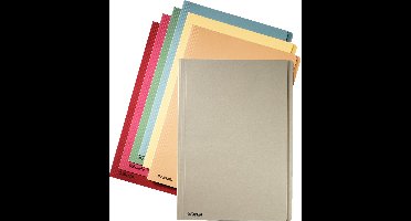 Esselte dossiermap oranje formaat folio