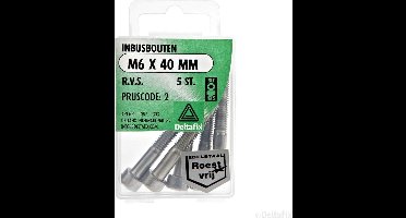 Inbusbouten M6 x 40 mm RVS