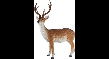 Sikahert staand h103x81x36 cm