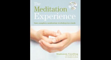 The Meditation Experience