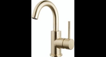 Wiesbaden Caral Draaibare Wastafel kraan - Goud Look - Geborsteld Messing
