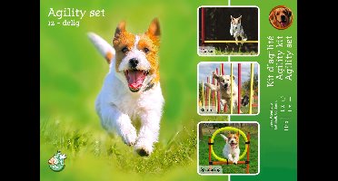 De Boon Agility Set 6x Stok + Springring en horde