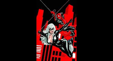 Spider-Man Black Cat