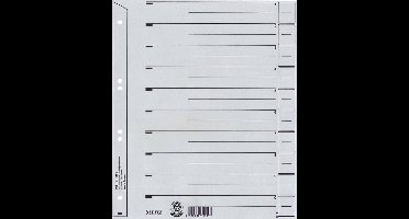 Leitz Staffelblad Karton - 100 st. - A4 - 10 tabs