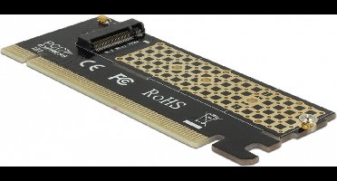 Delock PCI Express x16 Card to 1 x NVMe M.2 Key M