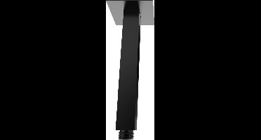 Wiesbaden douchearm Nero 200 B