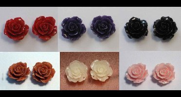 12 Roos Hangers in 6 kleuren