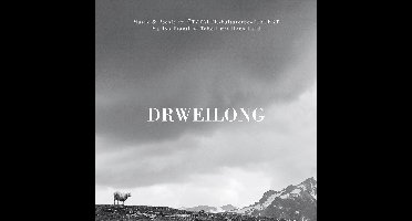 Drweilong