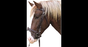 Kerbl Hoofdstel Koudbloed - Bruin