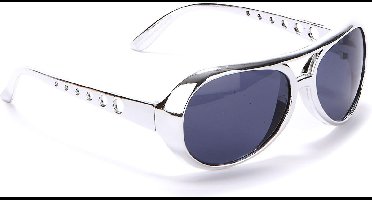 Vegaoo - Zilverkleurige ronde bril voor volwassenen