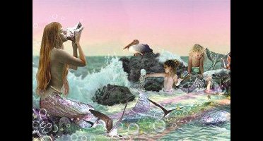 Tom Cross: Zingende sirene's