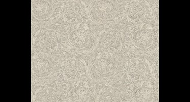 KLASSIEK BAROK BEHANG - Zilver Grijs - AS Creation Versace 4