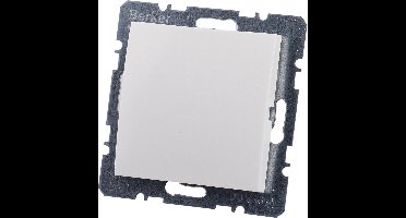 Berker Blinde centraalplaat S1 - Wit
