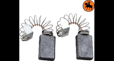 Koolborstelset voor AEG VSS20 - 5x10x15mm