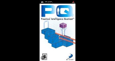 PQ - Practical Intelligence Quotient
