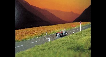 Busch - Landstraße H0/tt (Bu6033)