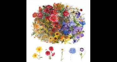 Bloemenstickers Set - 160 Stuks Zelfklevende en Waterdichte Stickers voor Plakboeken, Tijdschriften en Laptops