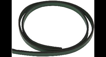 Band van imitatie leer b: 10 mm dikte 3 mm groen 1m