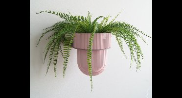 STERKSTAEL Eco Pot Flora S Pink Blossom – bloempot voor aan de wand – bloempot voor binnen – zwevende bloempot – bloempotten binnen – plantenbak - diameter 12 cm – kleur pot Roze – kleur houder Lila Mist