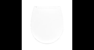 AWD Interior Salsa Duroplast Toiletzitting Wit - Zelfsluitend & Afneembaar