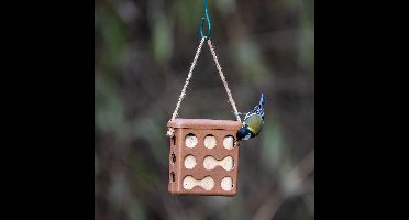 CJ Wildlife Vetblokhouder voor Vogels - Rome - Mezenbolhouder voor 1 Vetblok - Voederhuisje Hangend van Plantbased Materiaal - Bruin