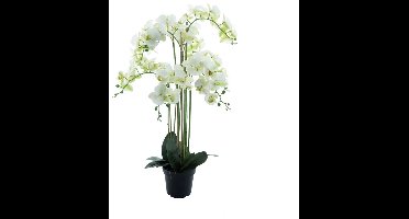 Kunst Phalaenopsis Orchidee In Pot 110 cm - Wit