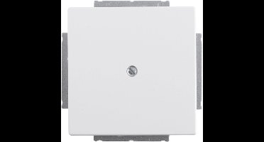 Busch-Jaeger Future Linear blindplaat - inbouw - mat wit